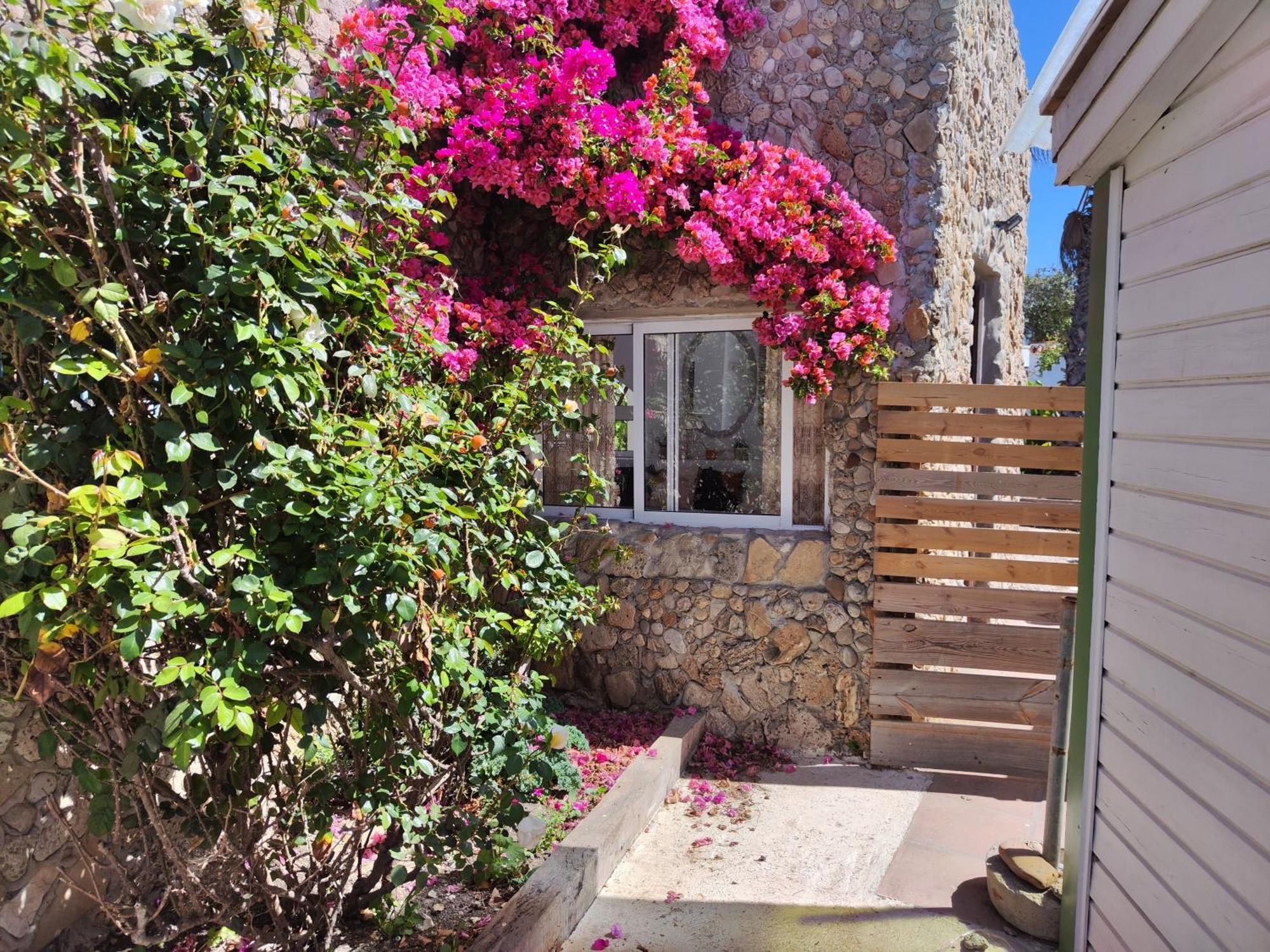 La Casa De Piedra A Orillas Del Mar Vejer de la Frontera Dış mekan fotoğraf